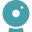 webcam icon